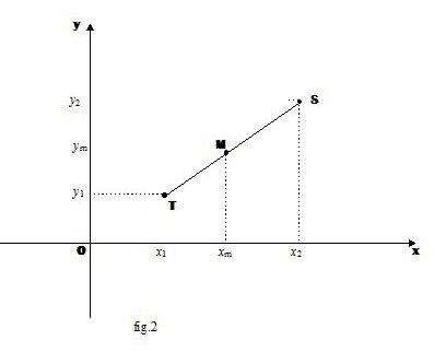 Punto medio di un segmento e punto che divide un segmento in un dato rapporto.